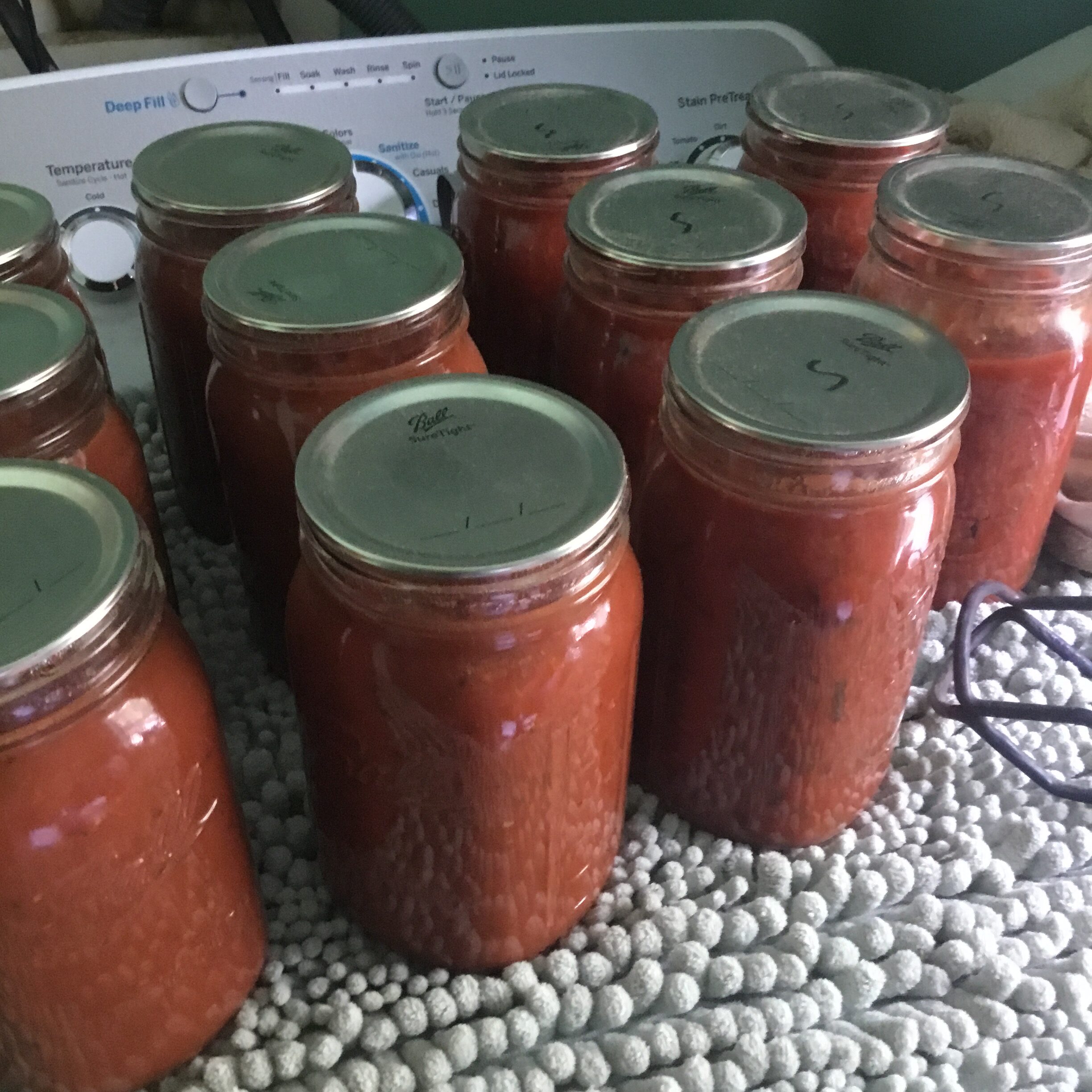 Harvest blessings and a tomato sauce secret Torah Family Living